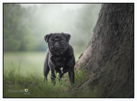 lekker foto's maken tijdens het wandelen