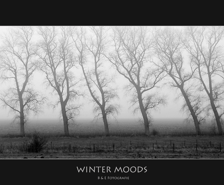 Winter Moods..