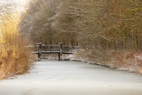 Winters landschap van een brug in het bos