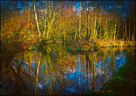 mijn bijdrage.......................