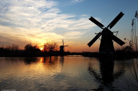 Kinderdijk 6