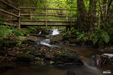 Waterval - Altbach Duitsland