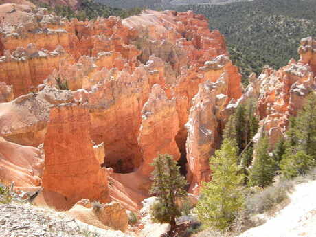 Bryce canyon