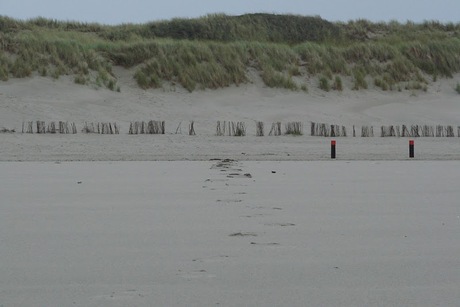 Ameland strand