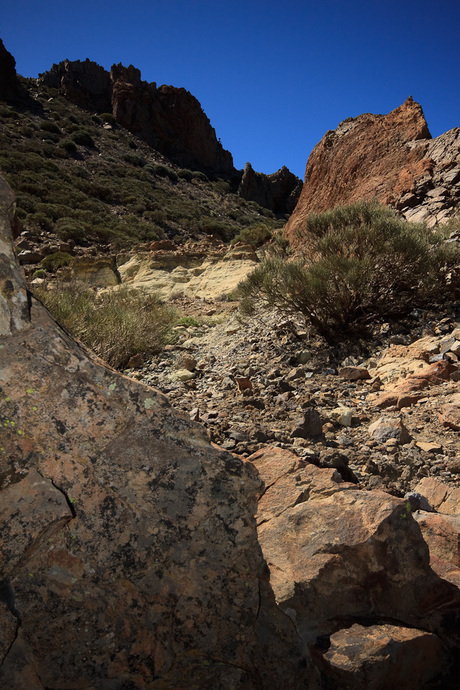 Nationaal park de Teide