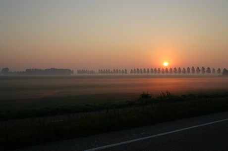 Polder mist