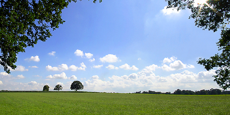 Deldens landschap