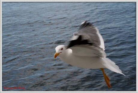 Heb je nog wat brood!!!