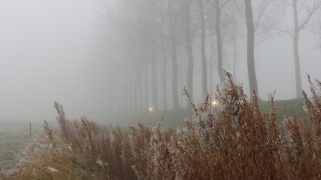 Koplampen in de mist