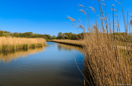 Fotowedstrijd Landschap Zoom.NL-4300