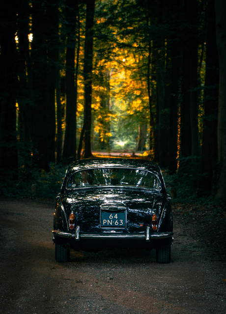 Jaguar mk2 