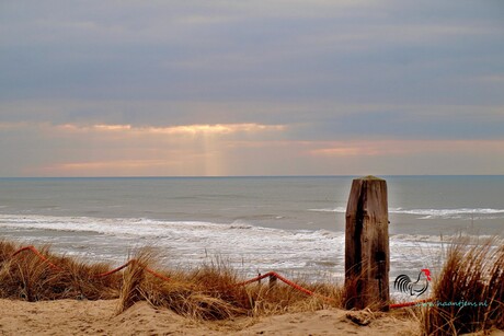 Zee en duinen