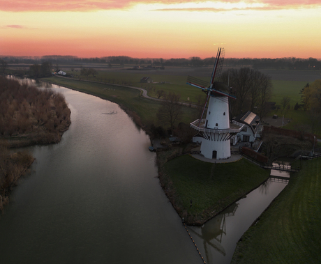 De vlinder terug in de tijd