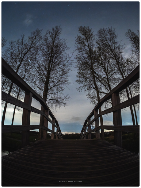 Jupiter door de Bomen