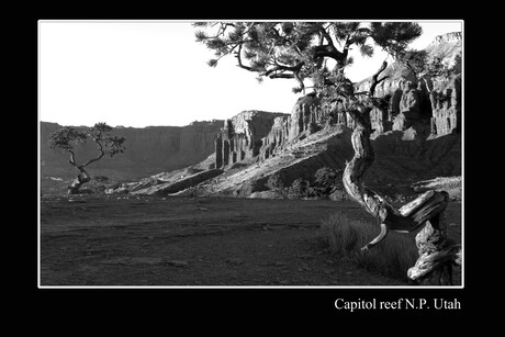 Capitol reef