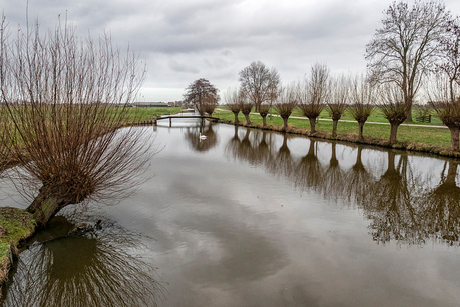 goudriaan slingelandse plassen 1860b2