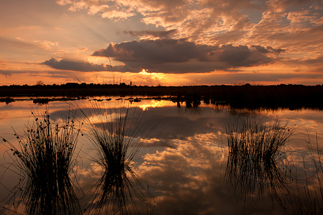 Sunset at the Engbertsdijksvenen