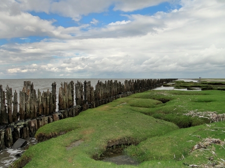 Waddenzee