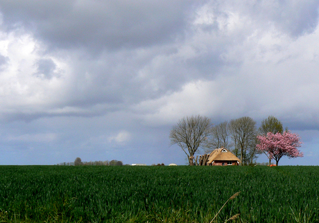 Donkere wolken