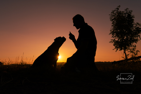 Liefde Baas- Hond