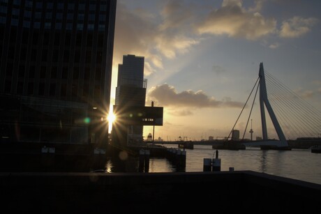 Rotterdam