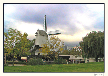 Molen op St. Anneke