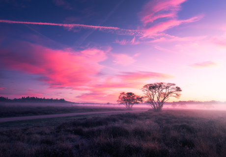 Kleurrijke ochtend op de heide