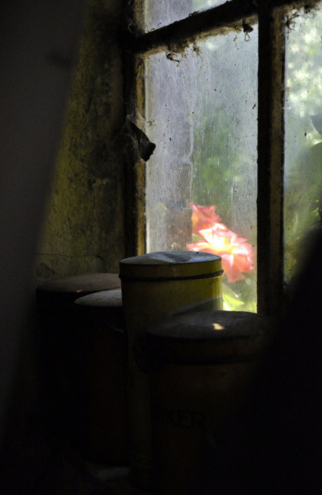 oma's voorraadbussen