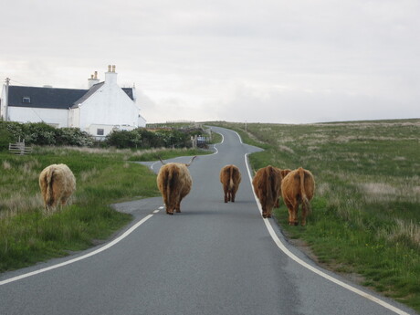 geblokkeerde weg