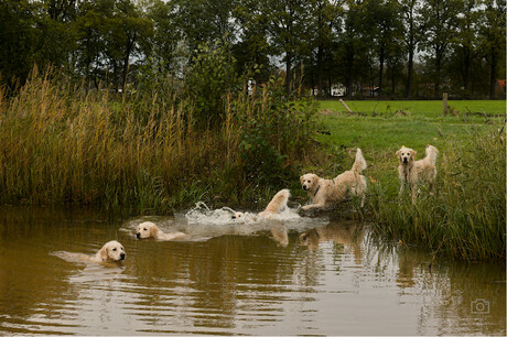 Sequence foto van Quibus