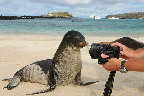 Say: cheese !