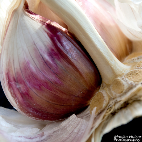 Garlic Detail