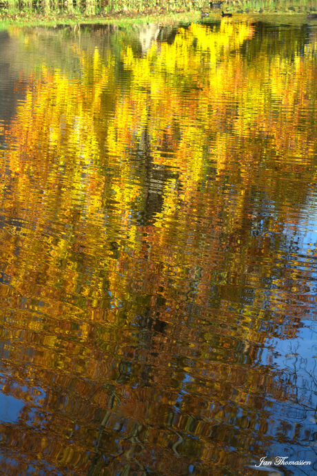 Herfst-spiegeling in water