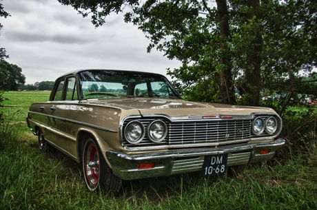 Strakke Impala