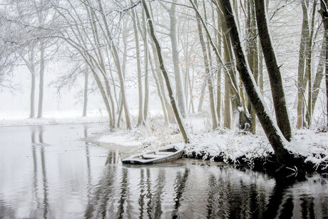 Winter in Griendtsveen
