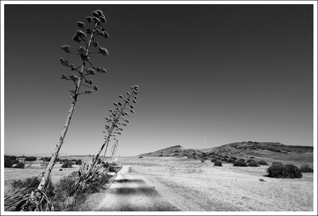 mag ik het binnendoorweggetje nemen ?