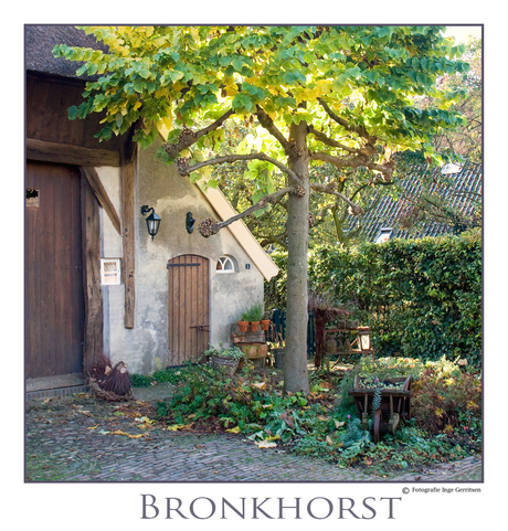 Bronkhorst -2-