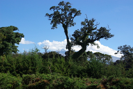 uitzicht op mount kenya