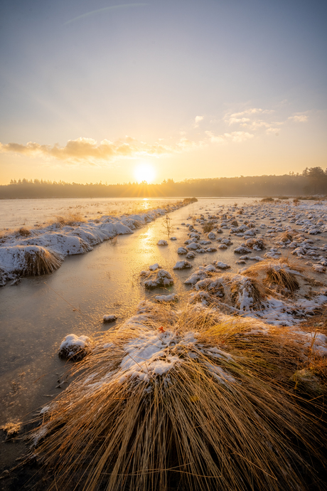 Winterse zonsopgang