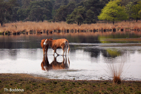 tropische temperaturen 3