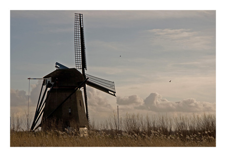 molen penningsveer