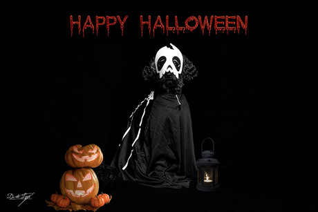 Halloweenavond in stijl