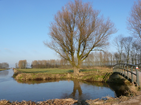 Winterlandschap Wijngaarden