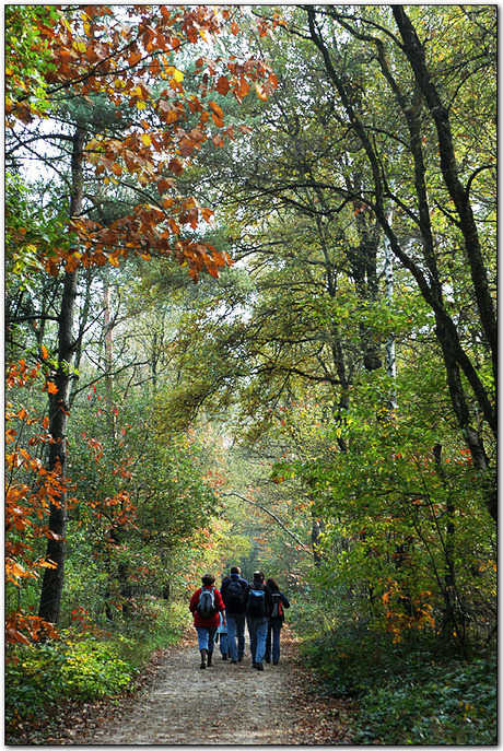 Boswandeling in Tegelen