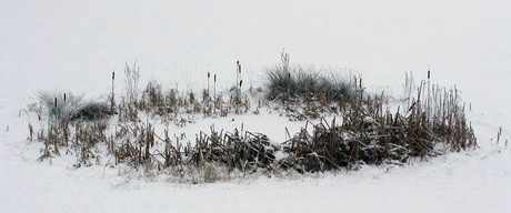 "Oase" in winters landschap