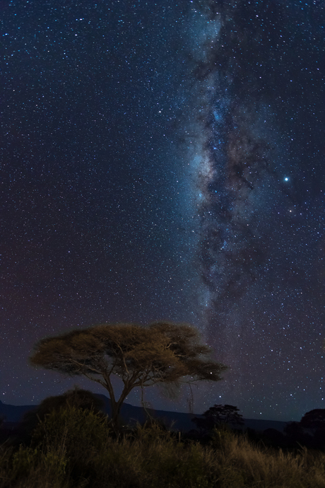 Milkyway Amboseli