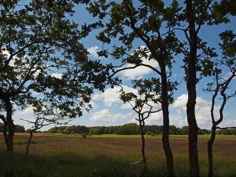 Paardenkerkhof