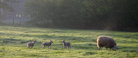 Spring where are you?