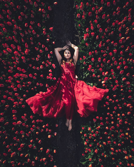 Tulip Topdown Red Dress