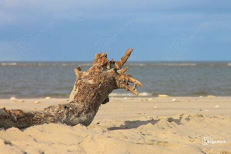 Tak op het strand